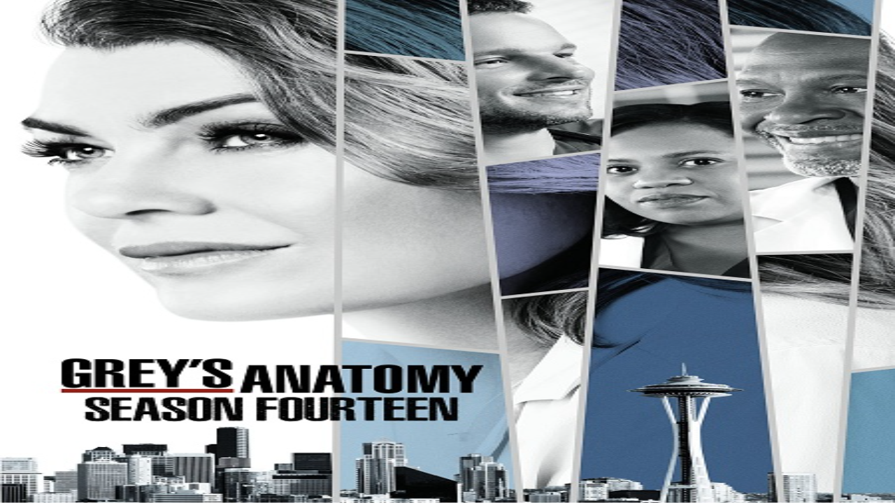مسلسل Grey’s Anatomy الموسم الرابع عشر الحلقة 5 مترجمة كاملة HD